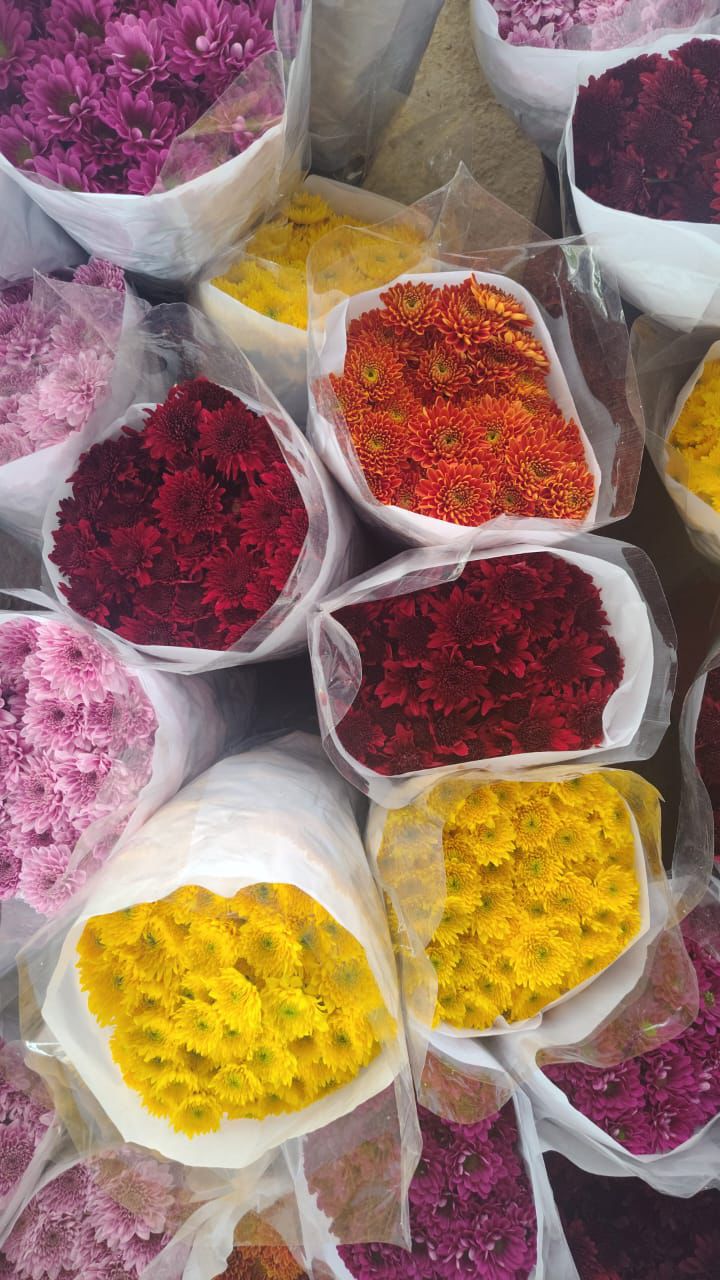 Bulk Flower Supply