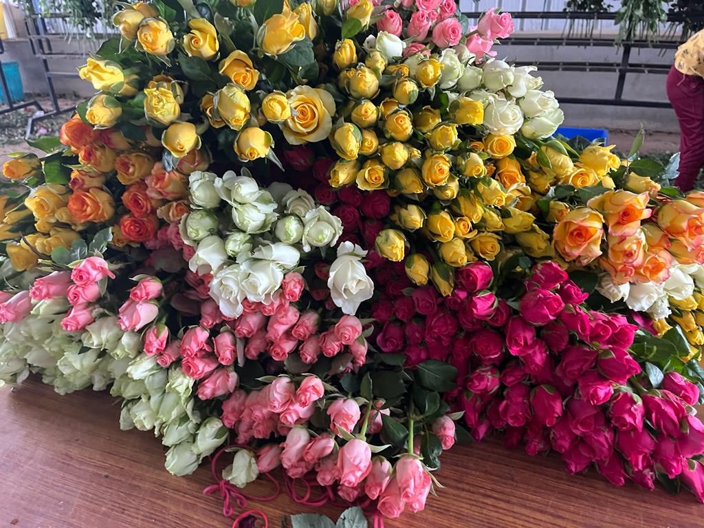 Premium Flowers